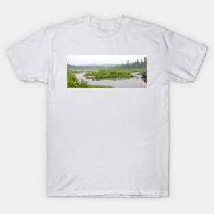 Algonquin Park - Costello Creek T-Shirt